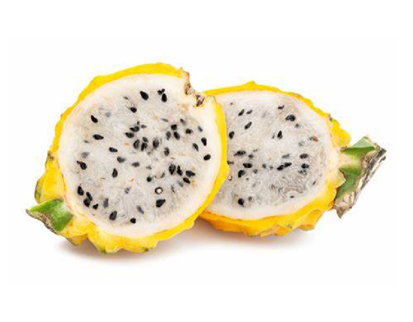 pitahaya-2