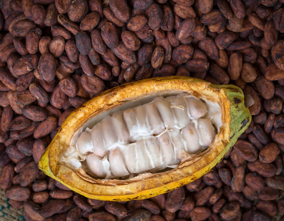 CACAO-FOTO-4