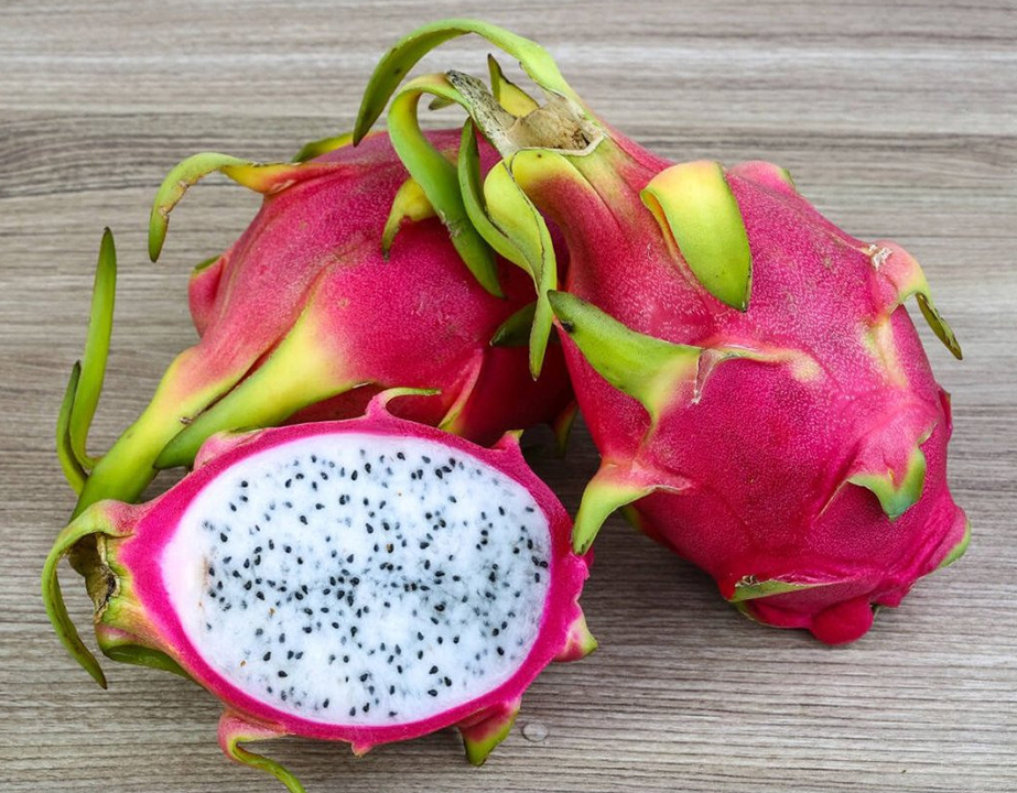 pitahaya-ROJA-1